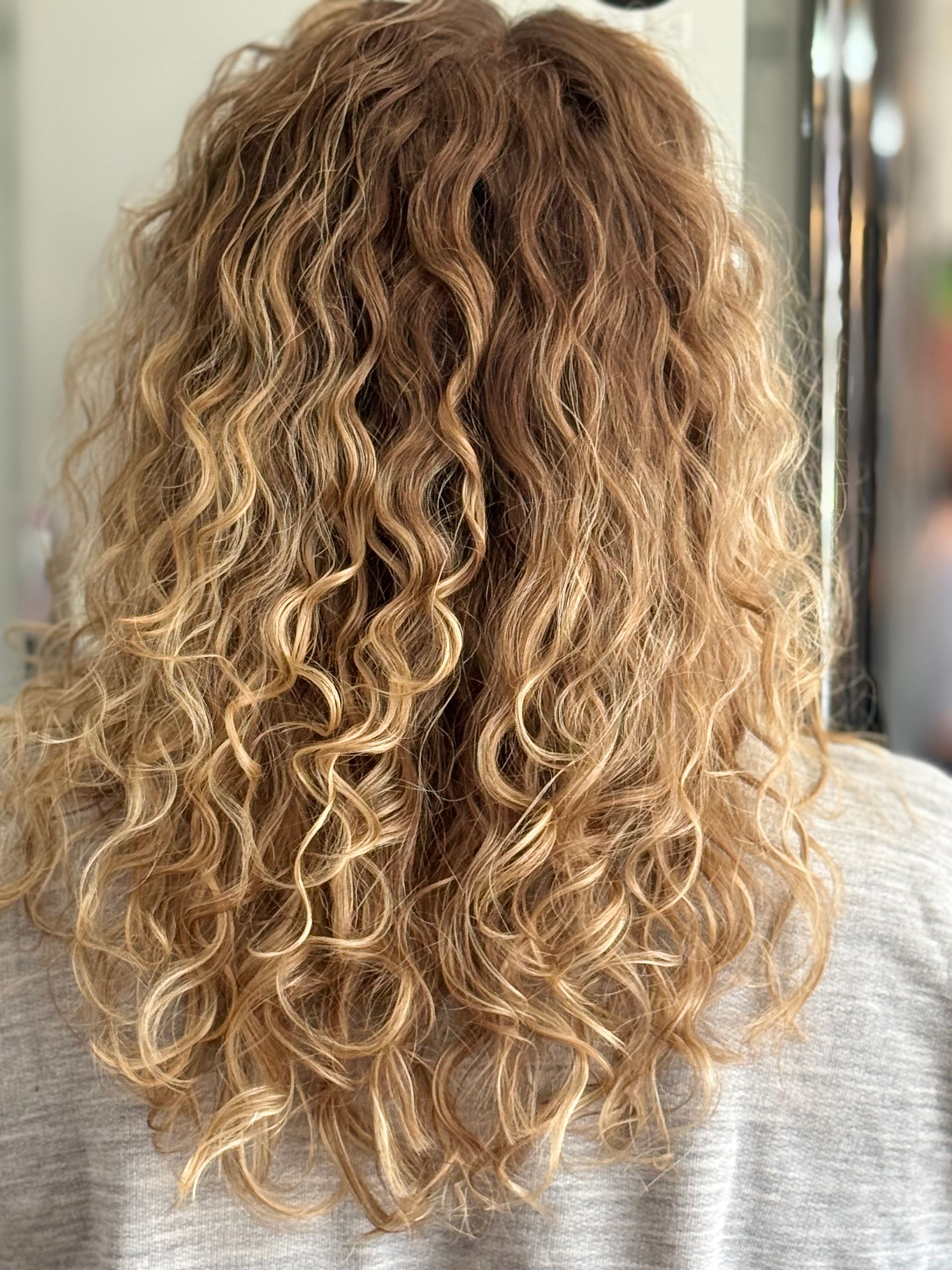 Curly blond hair with dark roots, shown from the back indoors