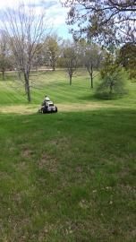 Lawn Mowing