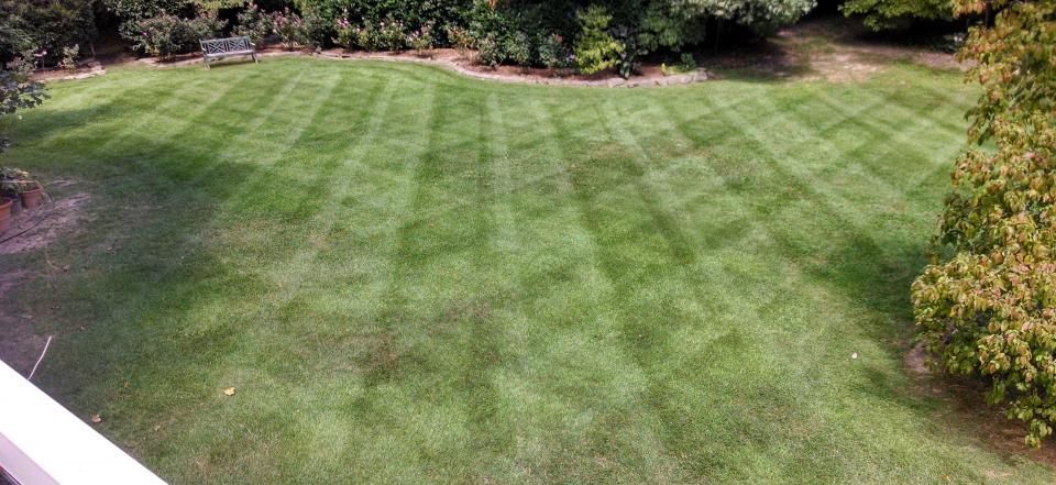 Grass Landscaping