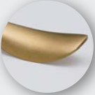 PVD Stainless Stain Brass (PSB)