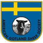 The American Gotland Sheep Society Logo The American Gotland Sheep Society Logo