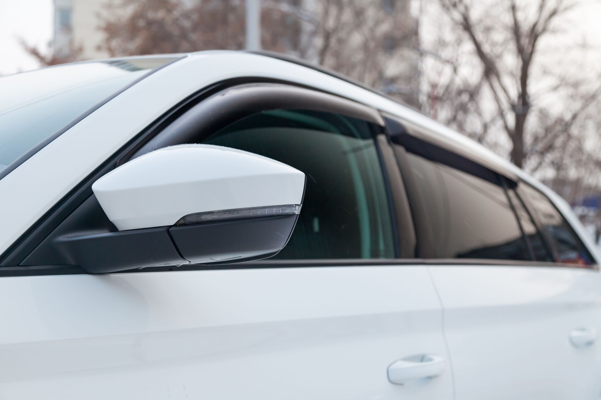 White car side mirror and window in close-up, parked outdoors with bare trees in the background