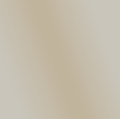 Matte Nickel Hardware Swatch