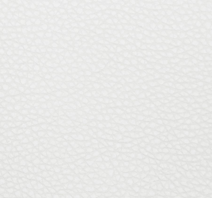 Winter Leather Swatch