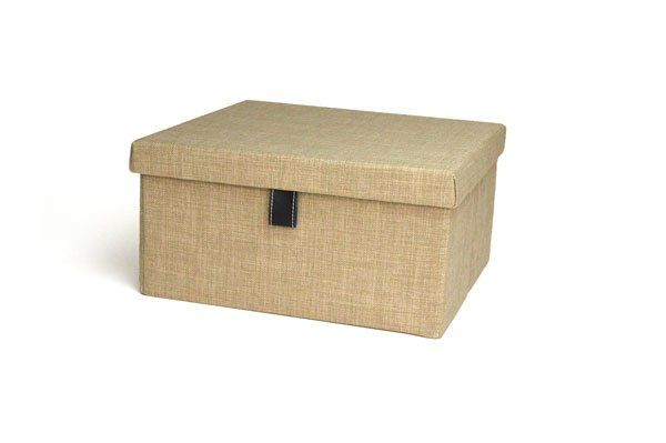 Beach Color Option for Storage Box Organizer