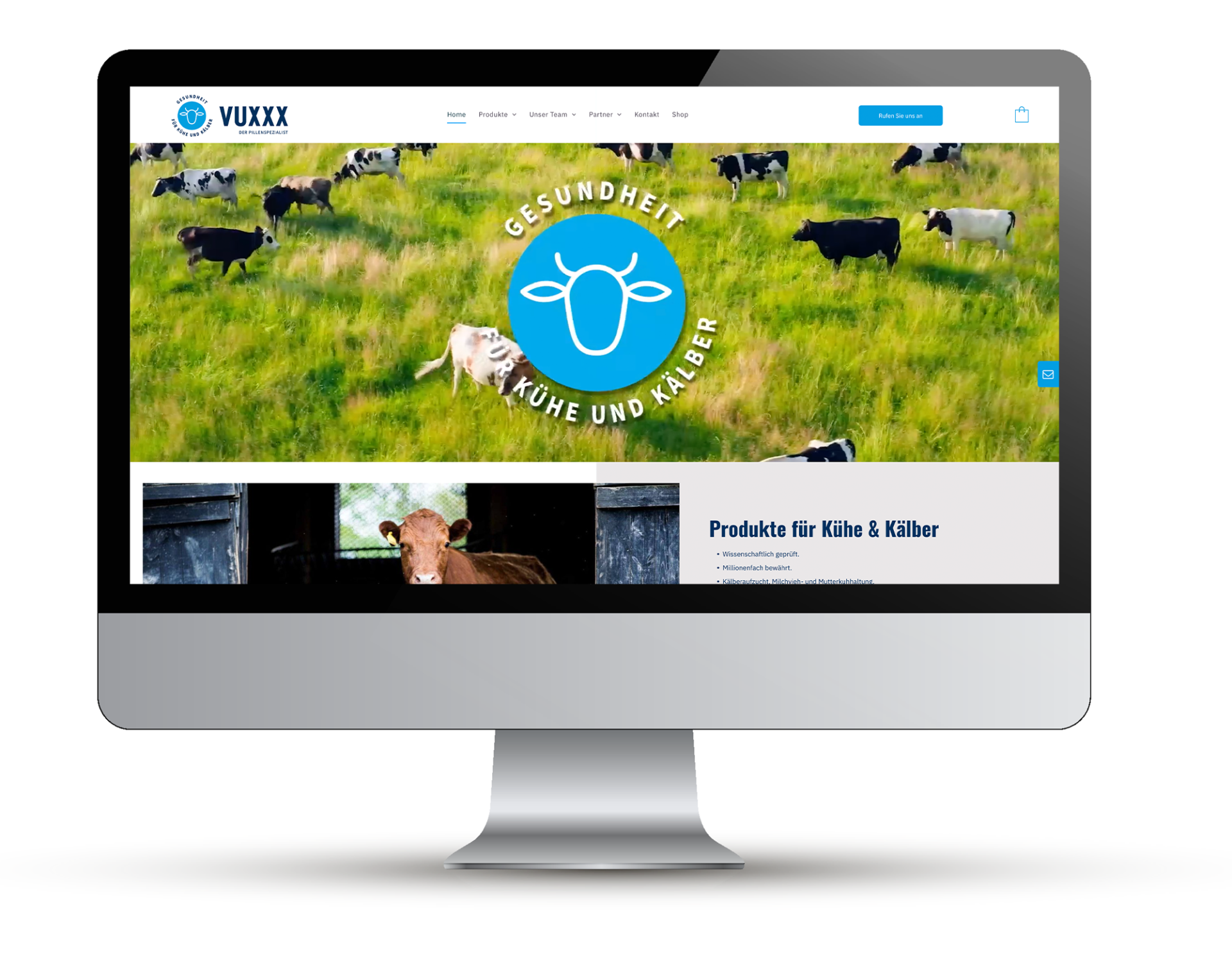 Bootsite X-Websitebeispiel