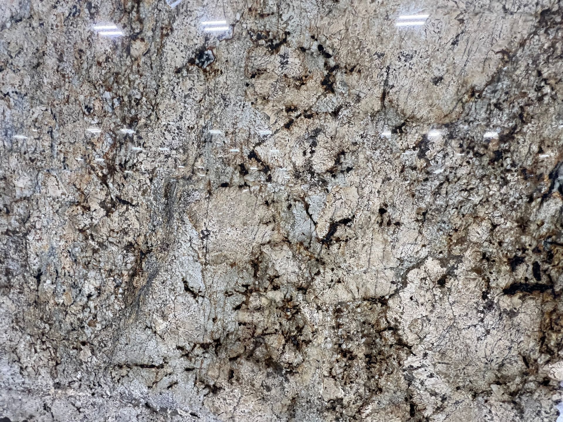 Close-up of gray and beige speckled granite with reflective flecks and dark veins
