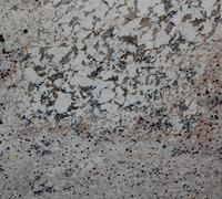 Close-up of a speckled gray, black, and white granite surface