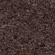 Close-up of dark brown soil with fine organic texture