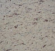 Close-up of a speckled beige stone or textured surface with small dark flecks