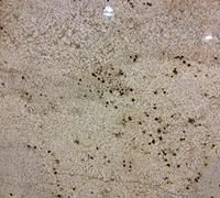 Beige speckled granite countertop with scattered dark spots
