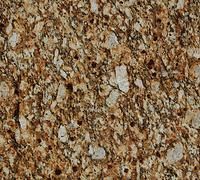 Close-up of brown and tan speckled granite surface.