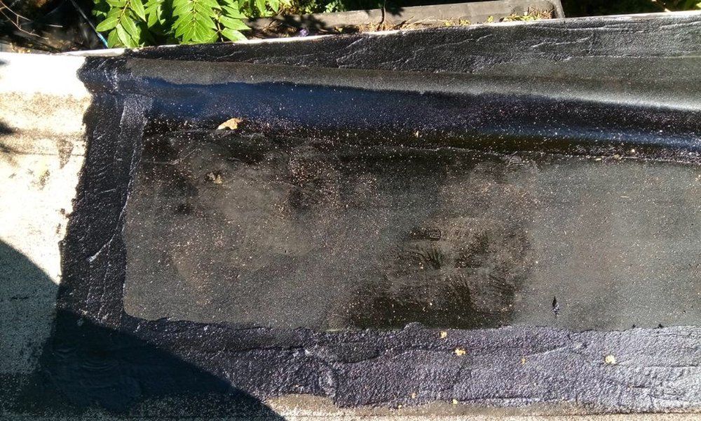 Black, rectangular pond liner or trough with murky water and wet concrete edges outdoors