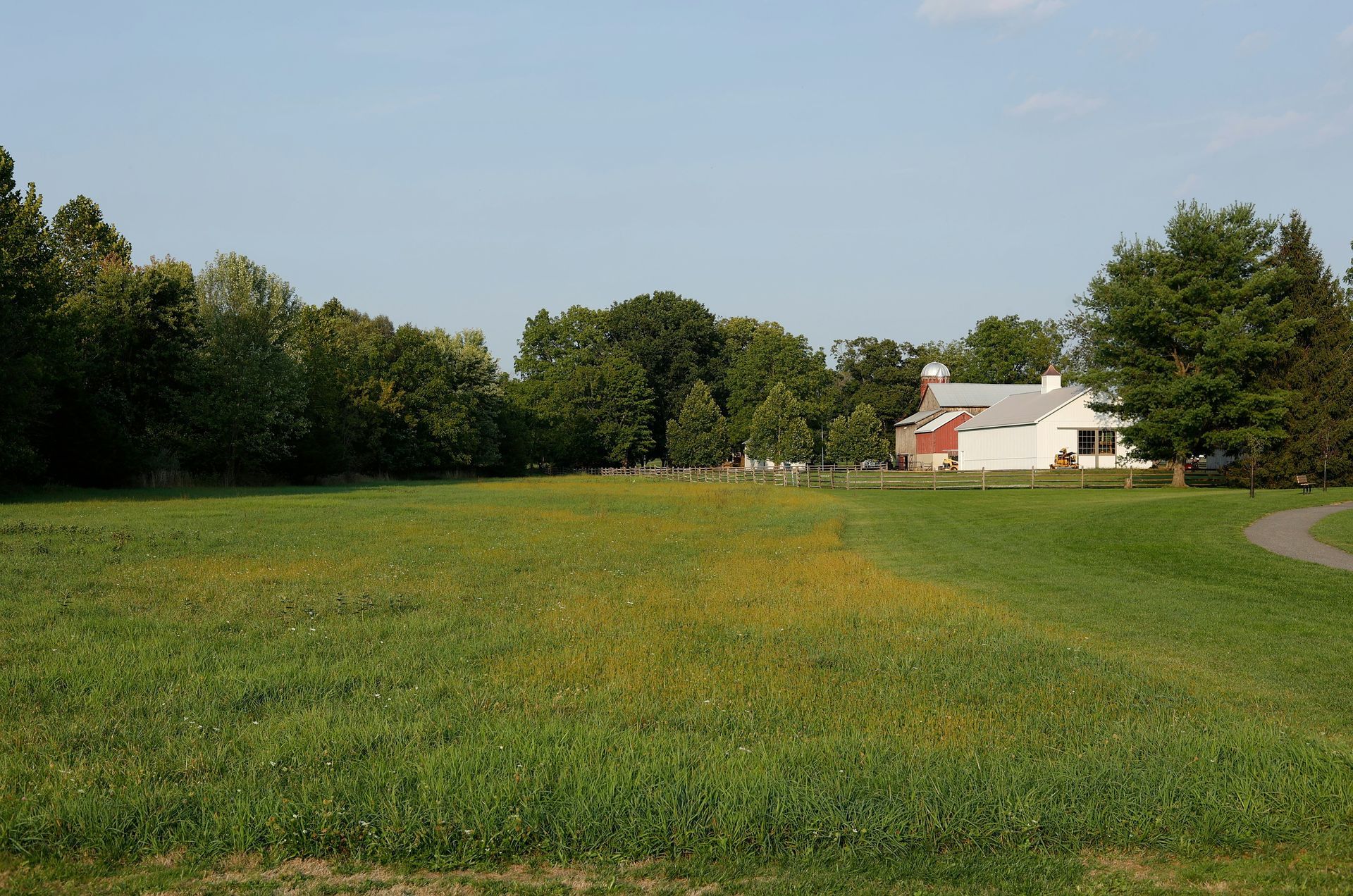 A grassy field with yellow wildflowers and a white building with a red roof set against a backdrop of trees under a blue sky.