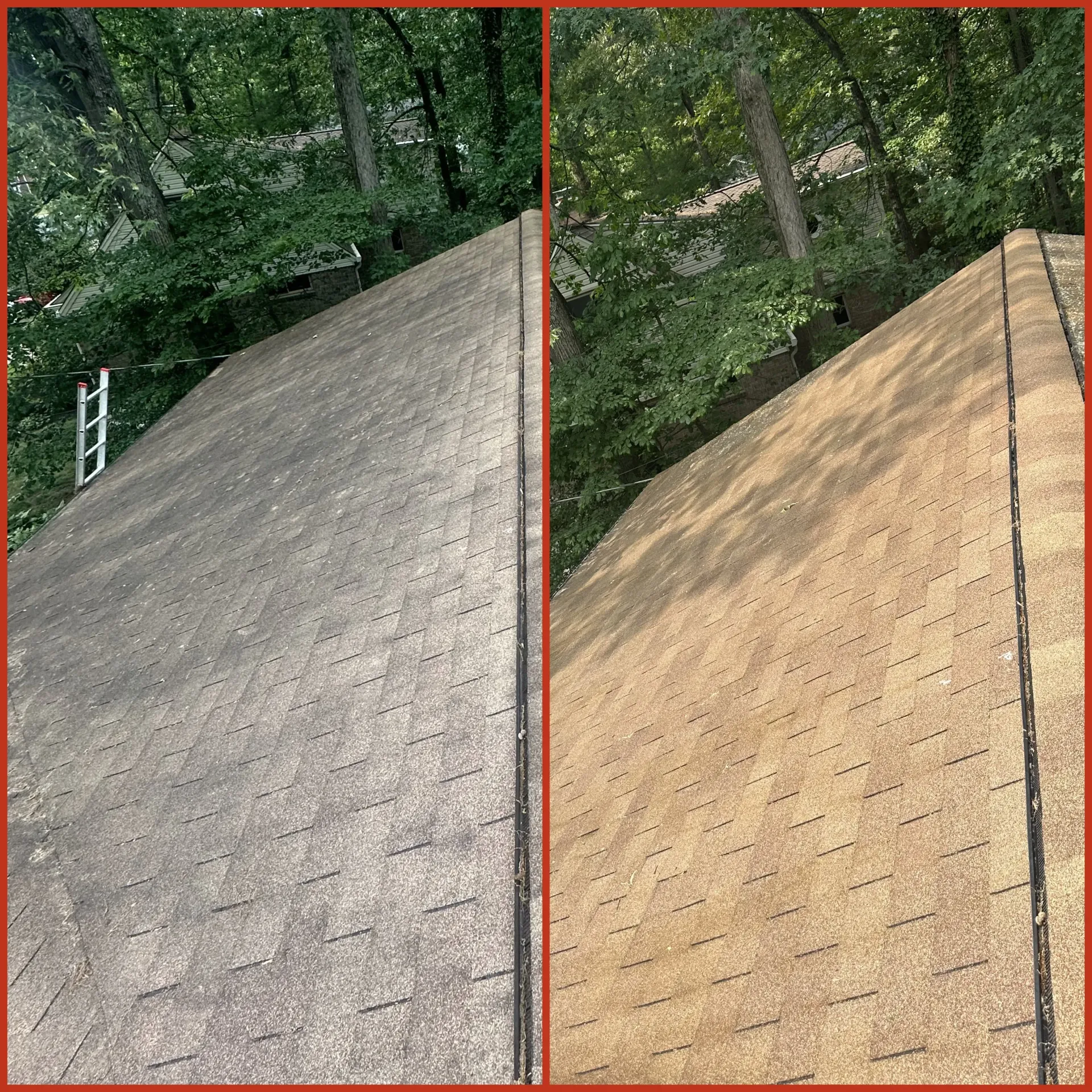 Side-by-side roof shingle comparison: weathered gray on left, newer tan on right, with trees in background