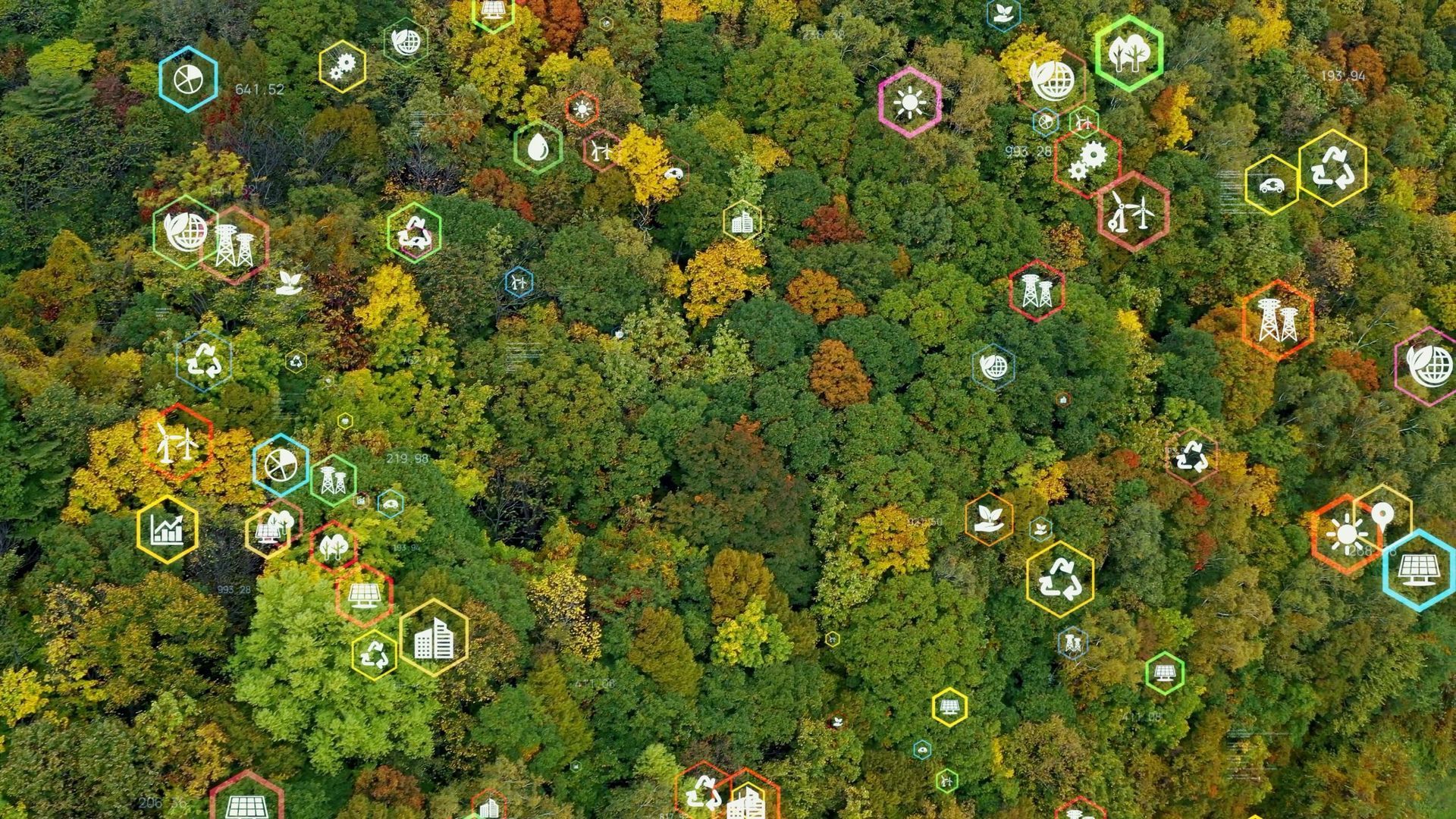 Vue aérienne d'une forêt dense sur laquelle sont superposées diverses icônes environnementales.