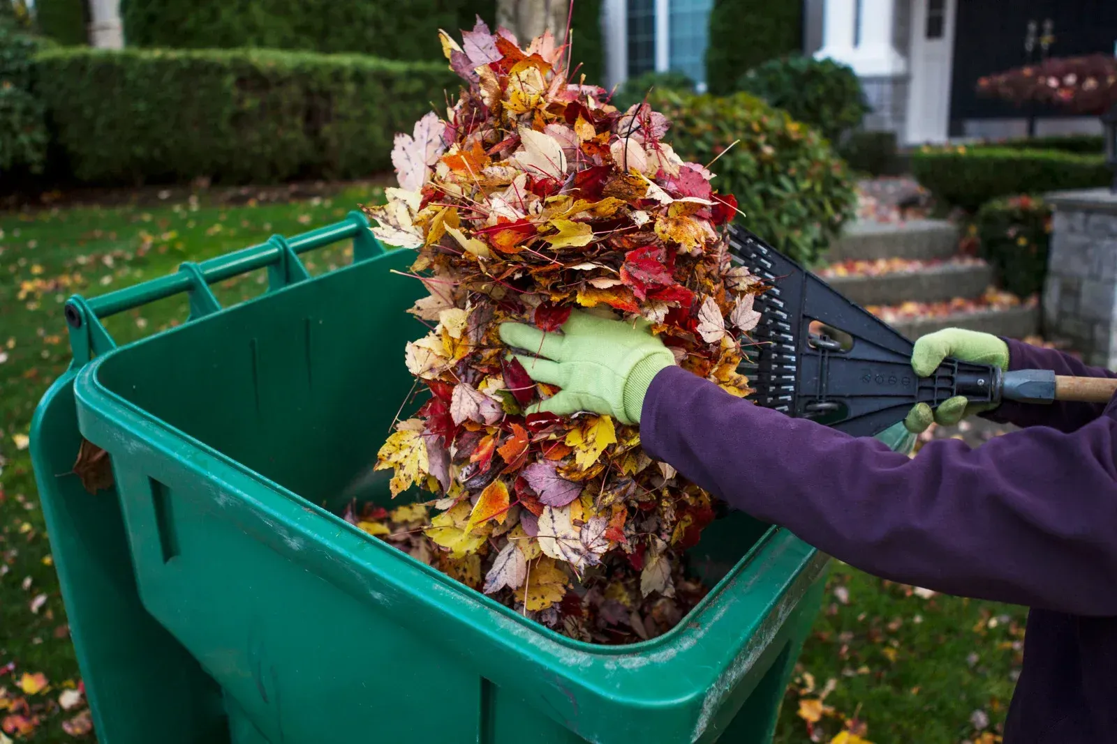 Person in green gloves loading a large pile of autumn leaves into a green yard bin