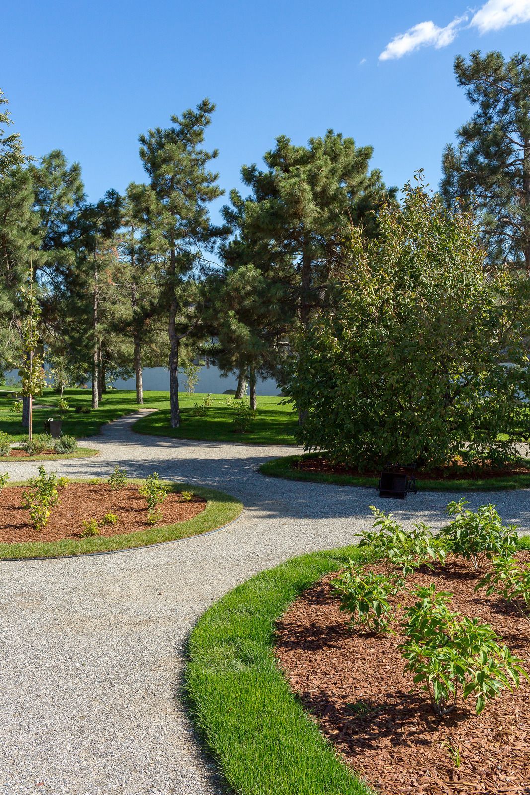 Curving gravel garden path with mulch beds, shrubs, and tall trees under a blue sky