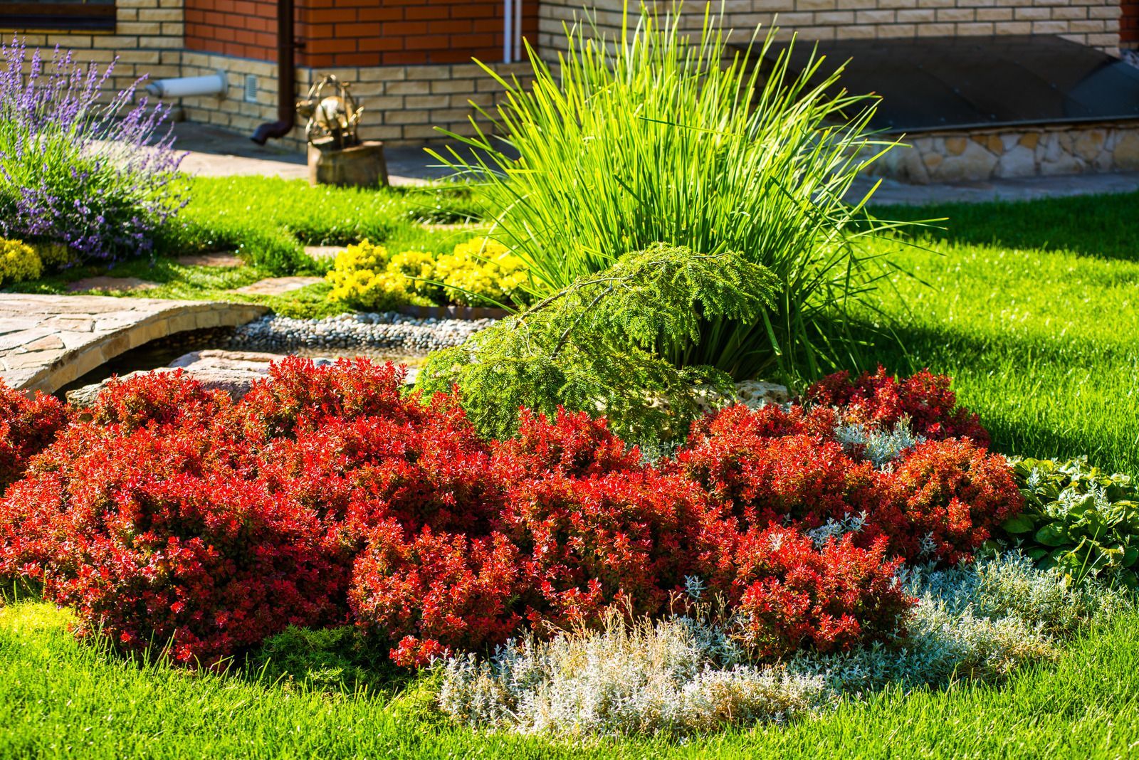 Colorful landscaped garden with red flowers, green shrubs, and a brick house in the background
