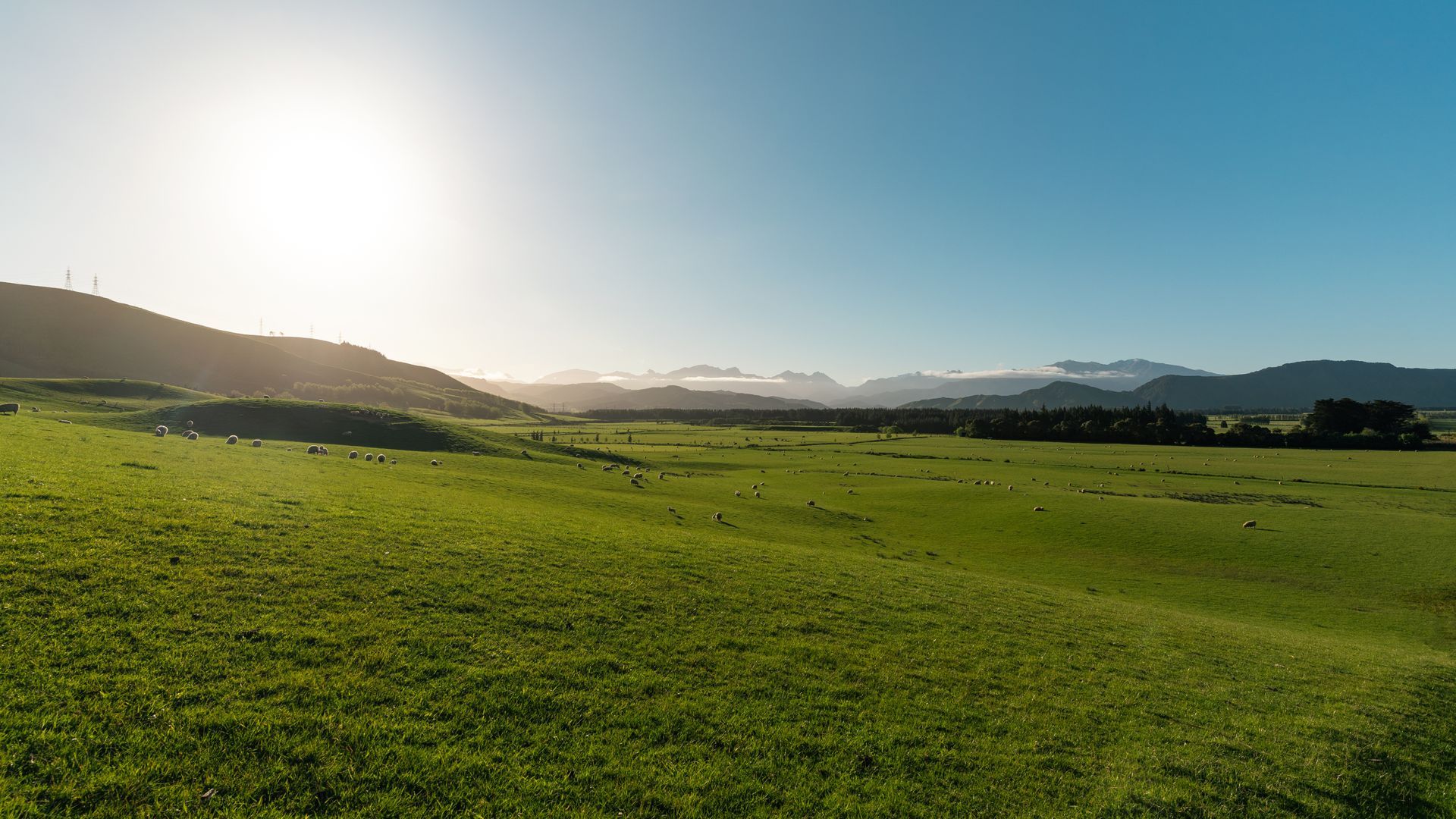Green field under a bright sun, with distant hills and a clear blue sky.