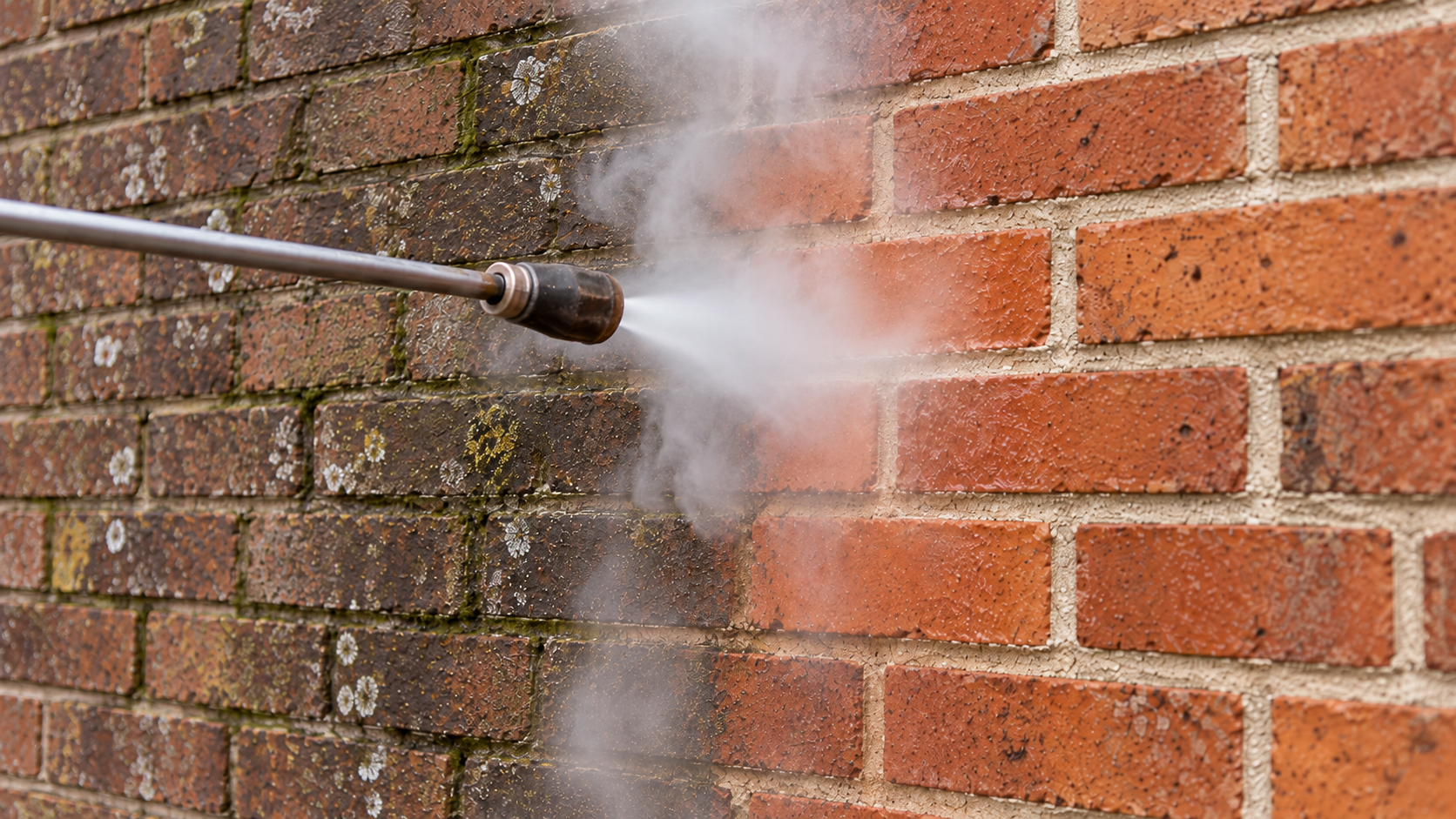 algae lichen moss doff cleaning from brickwork