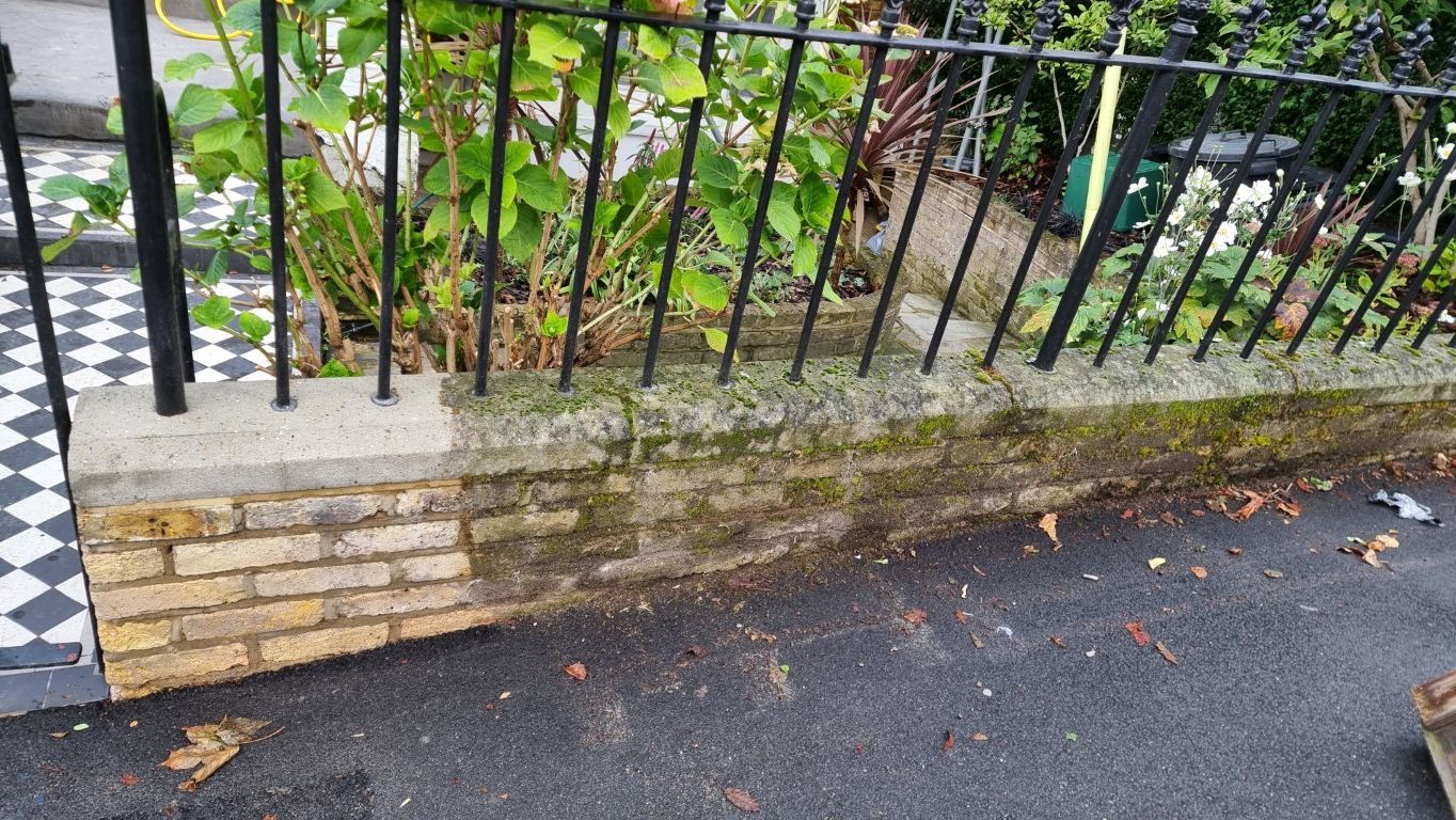 Moss and algae removal from yellow stock bricks london