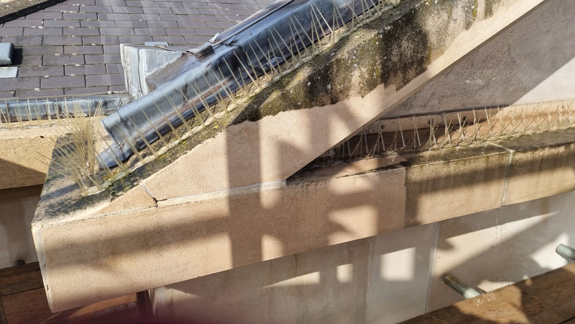 partial doff clean from natural stone
