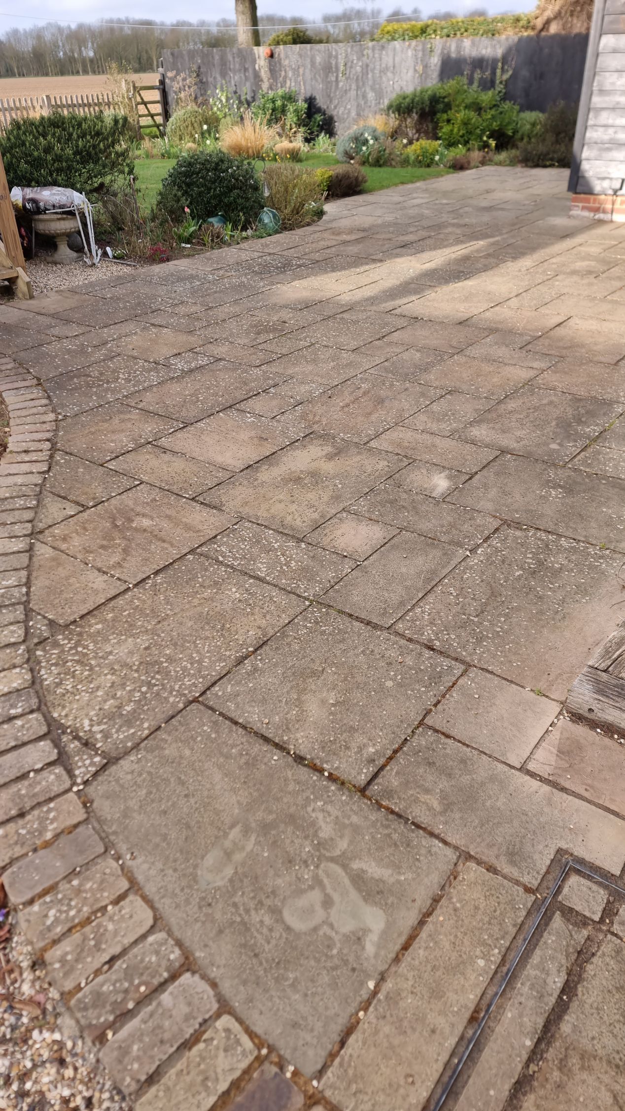 sandstone patio before clean