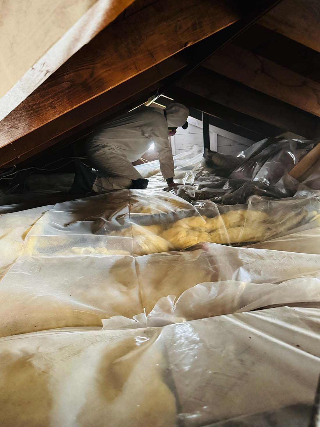 Attic Mold Remediation & Encapsulation in Kings Park, NY - K.O.S.