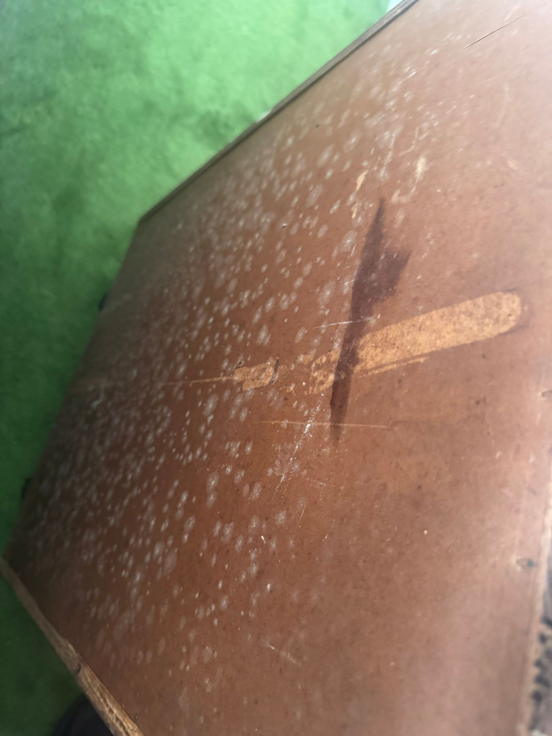mold growth on bedroom furniture