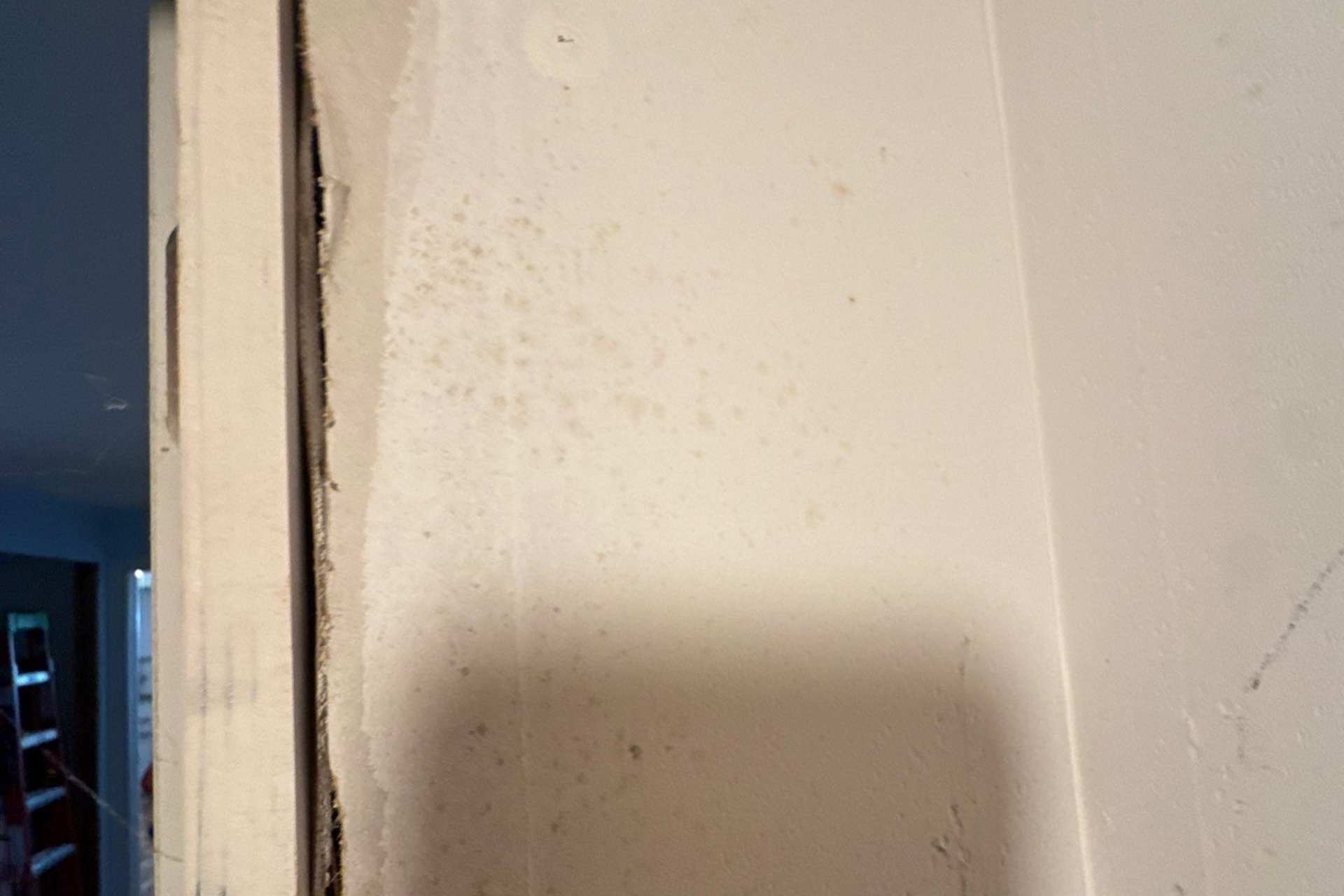 mold on water damaged drywall at a home in Westhampton, New York. 