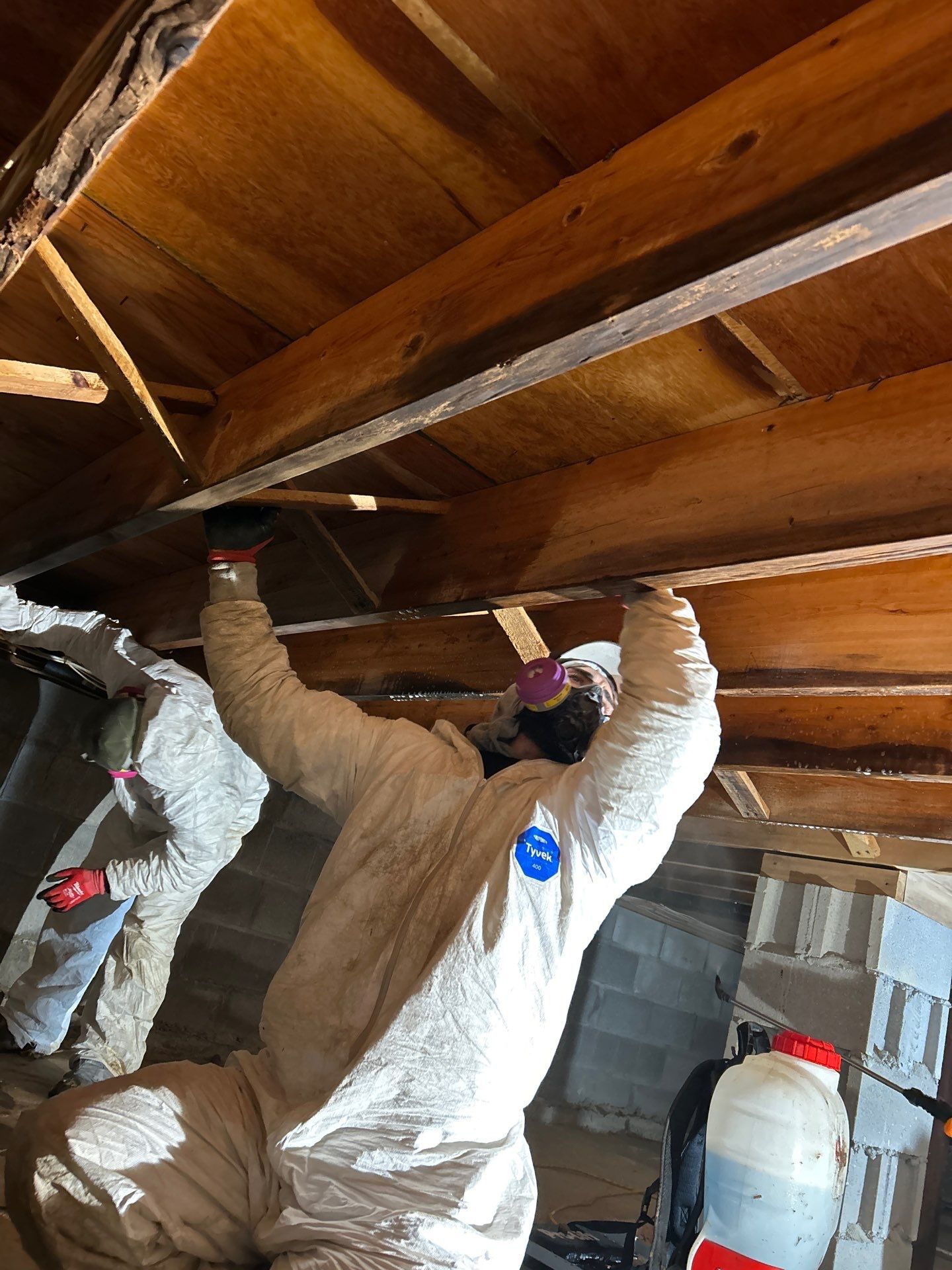 Suffolk County crawlspace mold remediation on Long Island