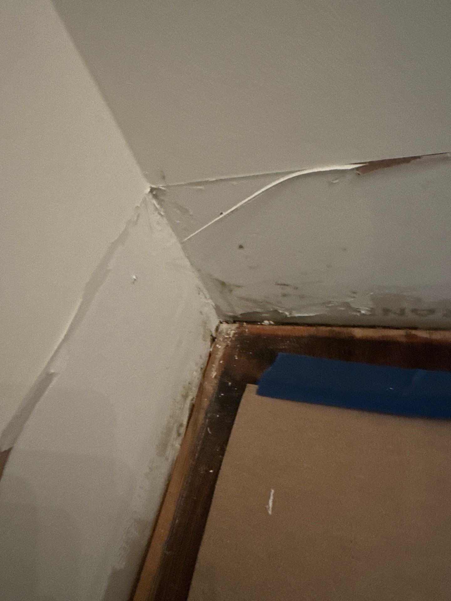 mold growth at a home on Long Island after water damage.