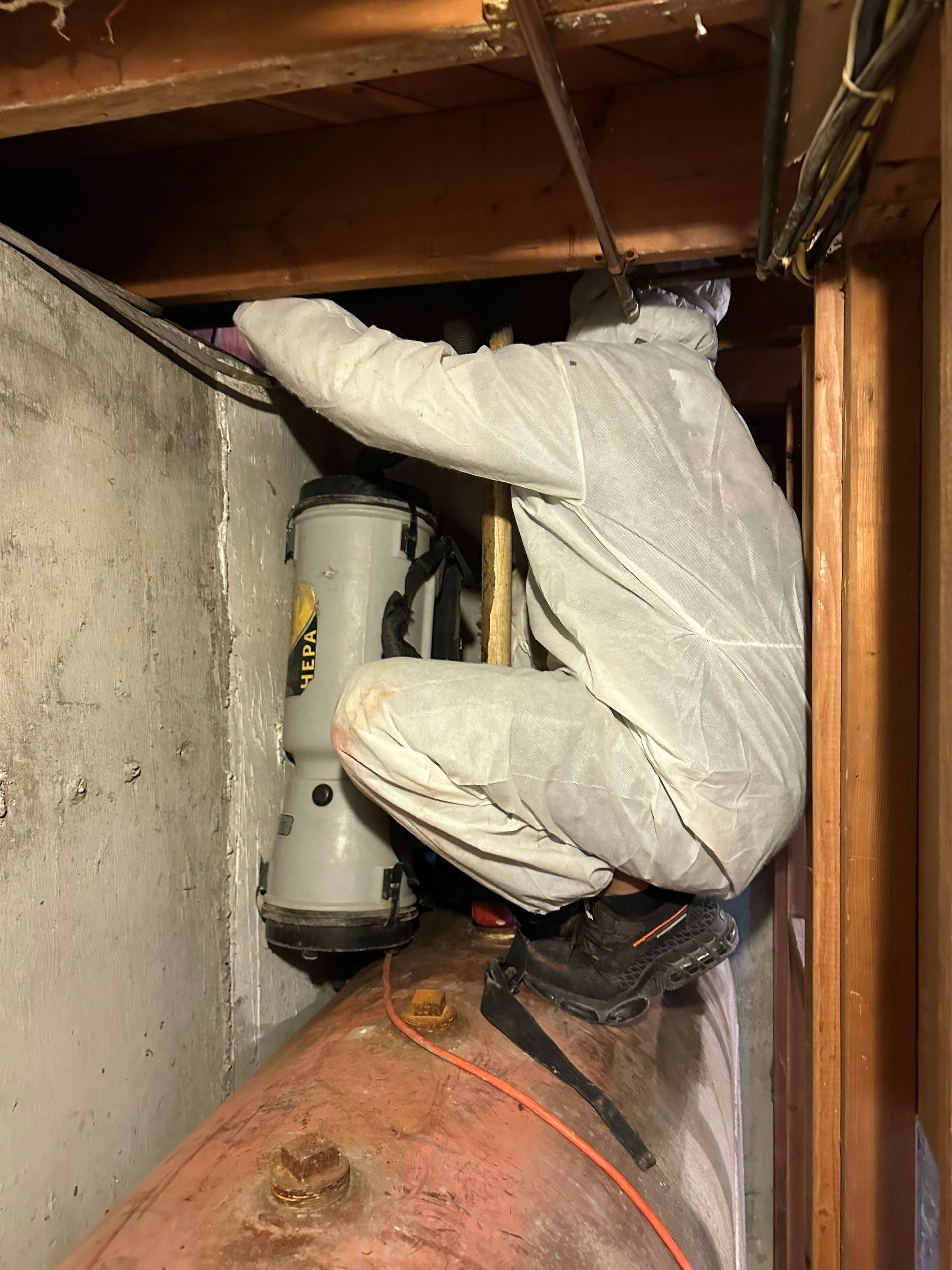 Mold Remediation Company On Long Island