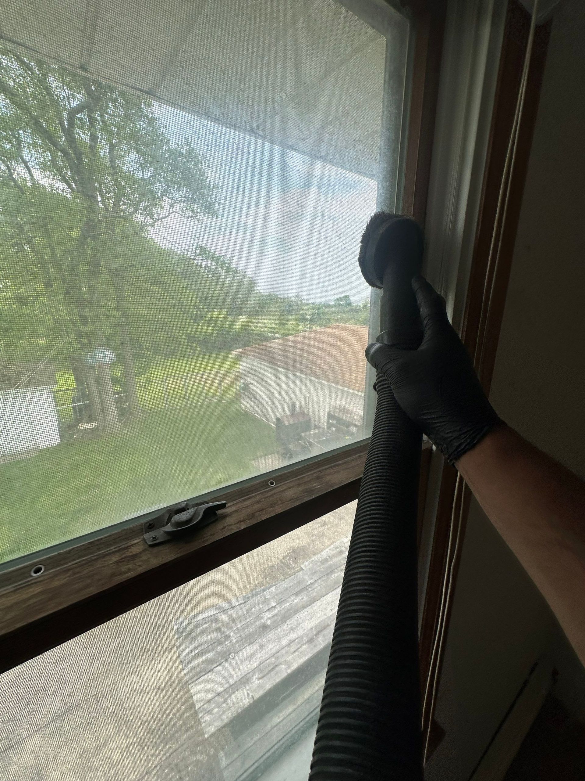 Mold Remediation in Shirley New York.