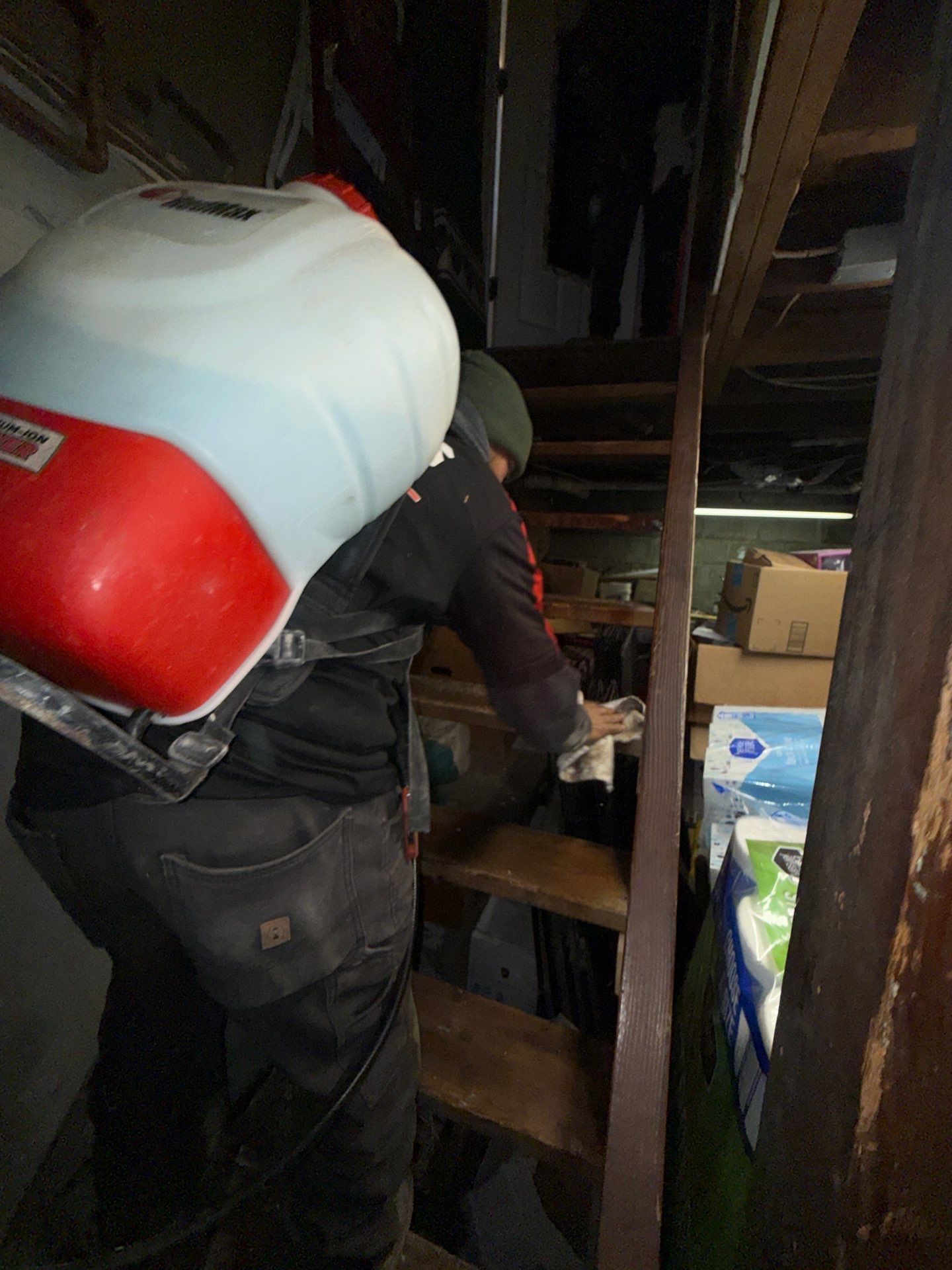 Enzyme spraying of mold at a home in Patchogue NY