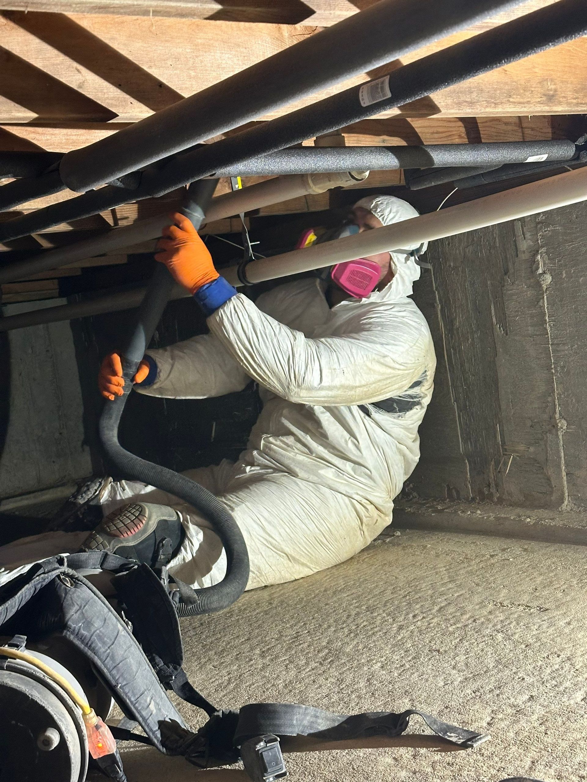crawlspace mold remediation Long Island