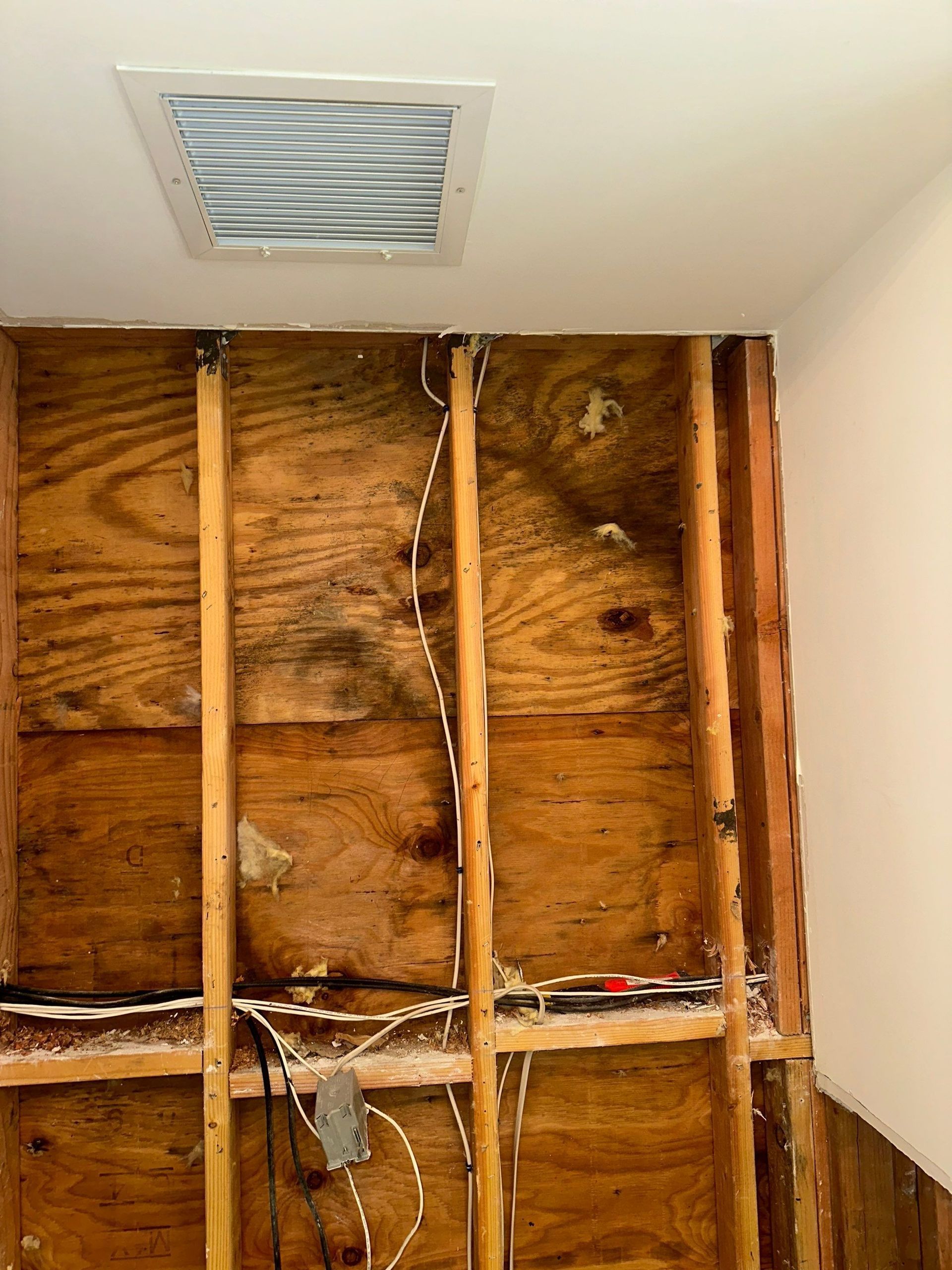 mold growth inside wall in East Setauket NY
