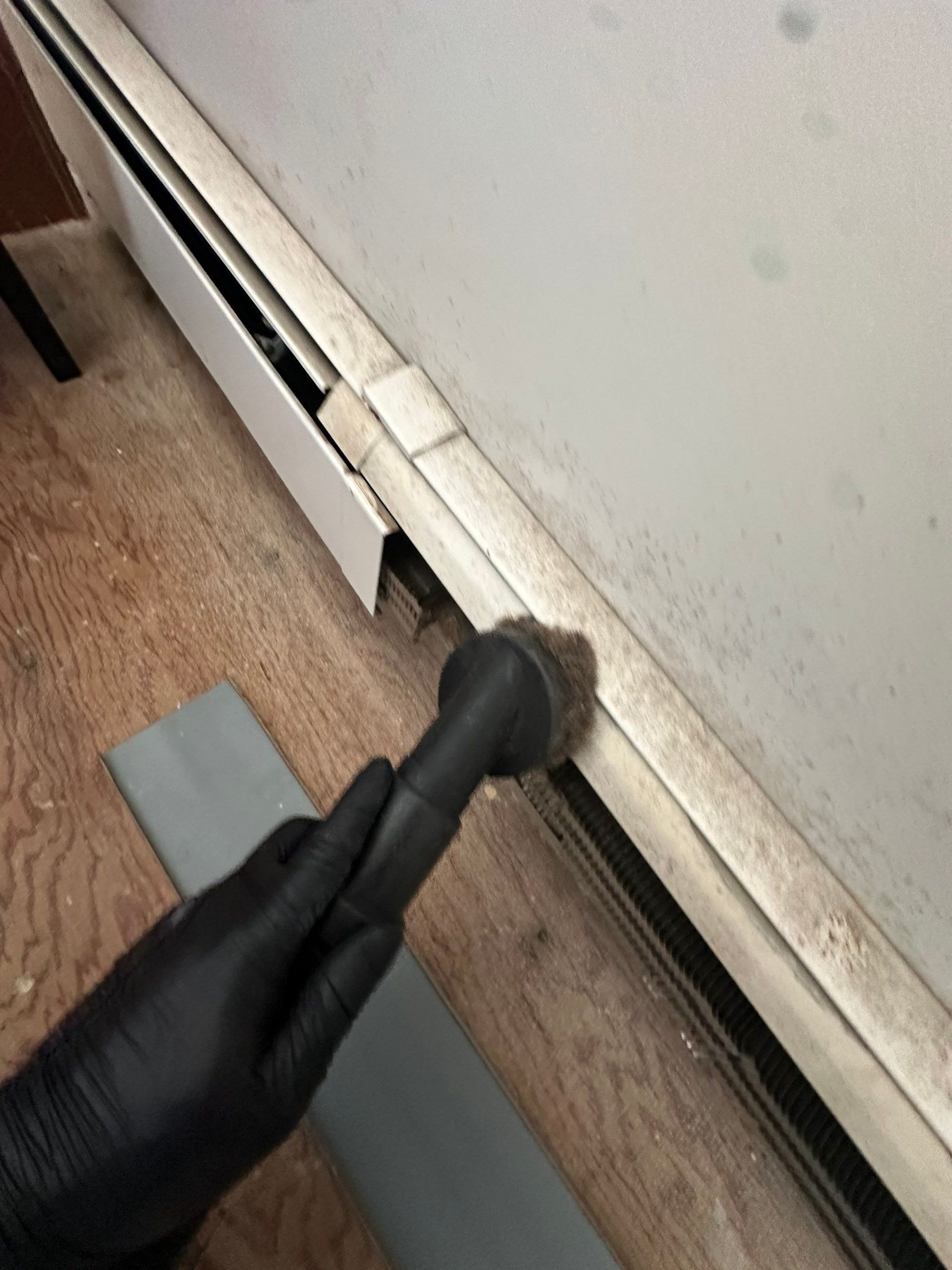 HEPA Mold Remediation Vacuuming