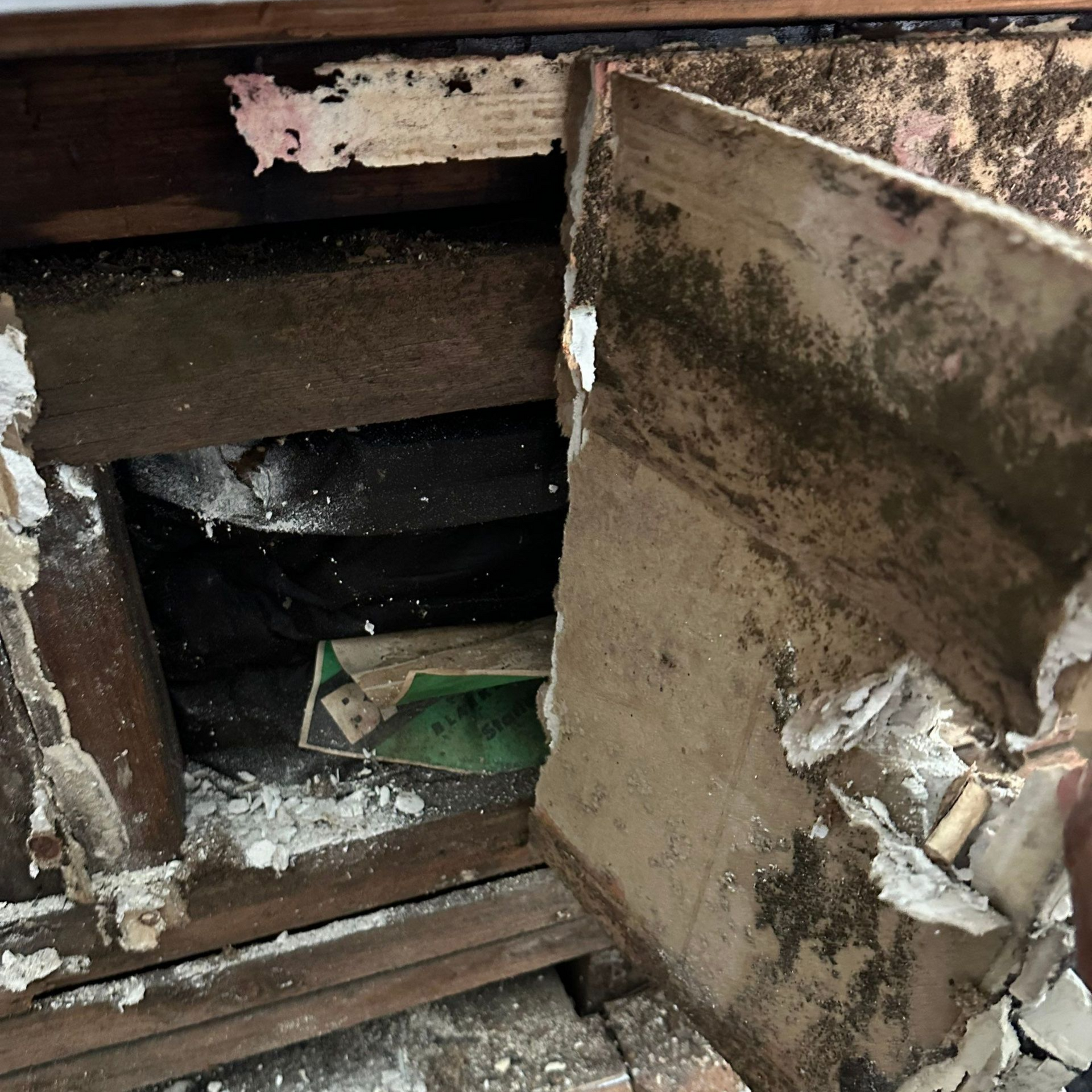 Water damage and mold growth at a home on Long Island. 