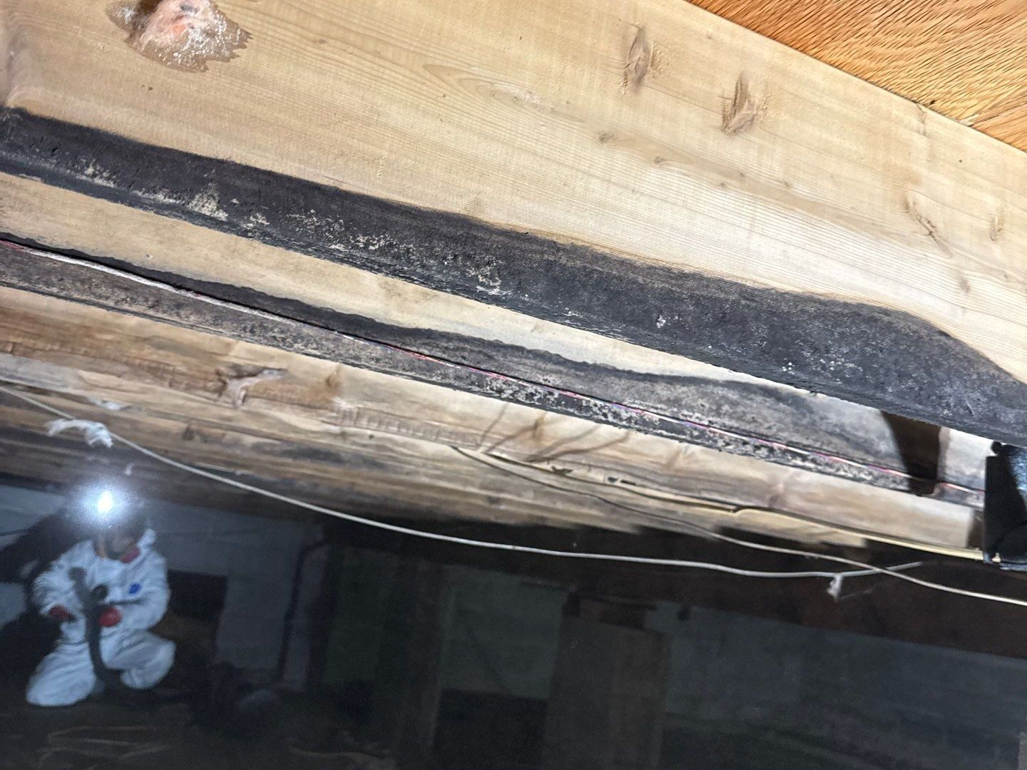 mold growth in a crawlspace at a Long Island home.
