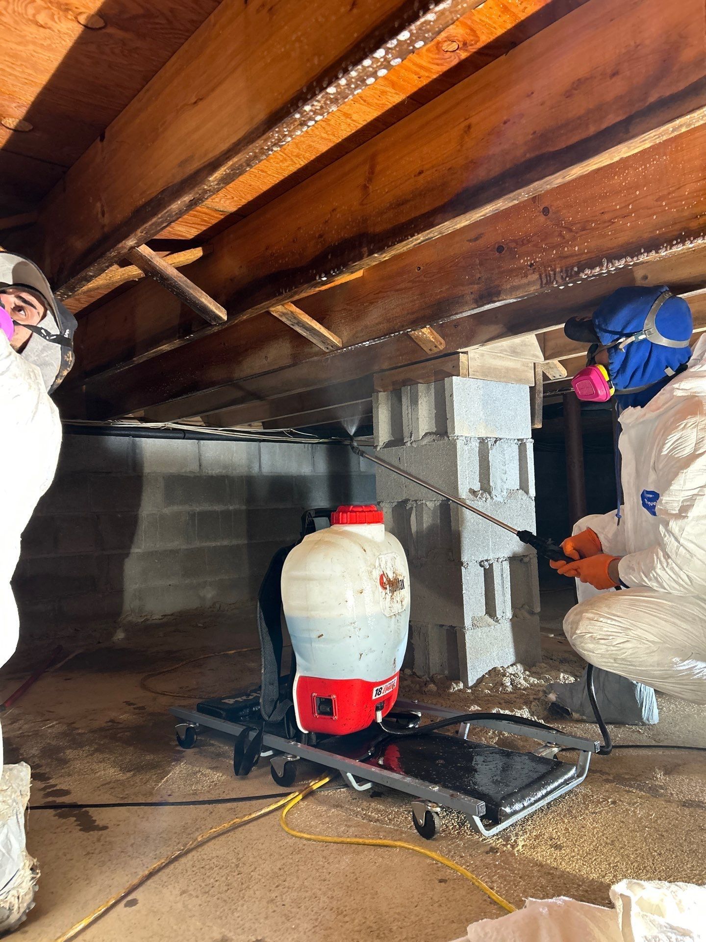 crawlspace mold company on Long Island - K.O.S. Restoration
