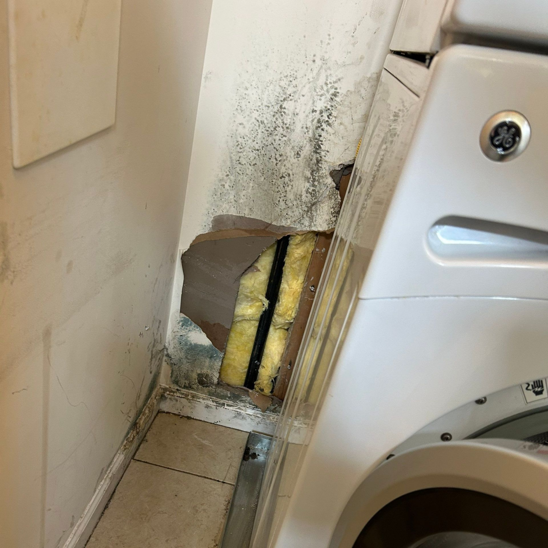 mold growth behind a washing machine at a home on Long Island. Mold testing and remediation will be needed. 