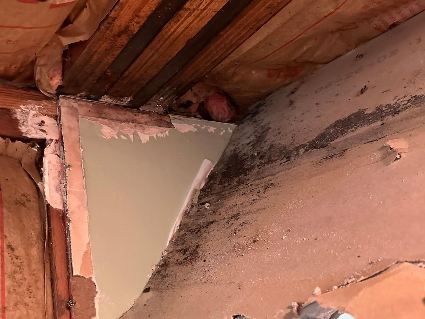Detect mold in a crawl space with expert tips from K.O.S. Restoration