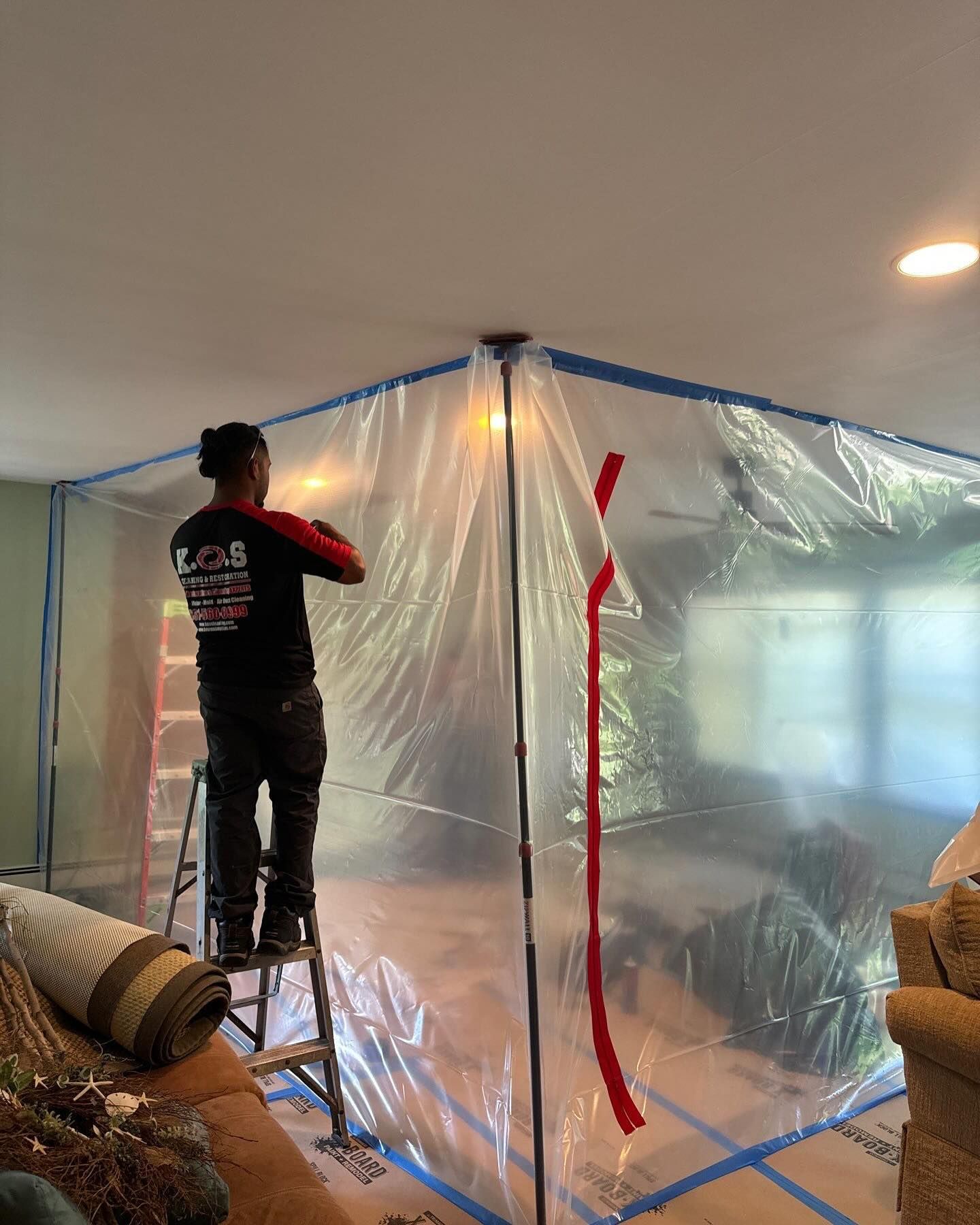 mold removal