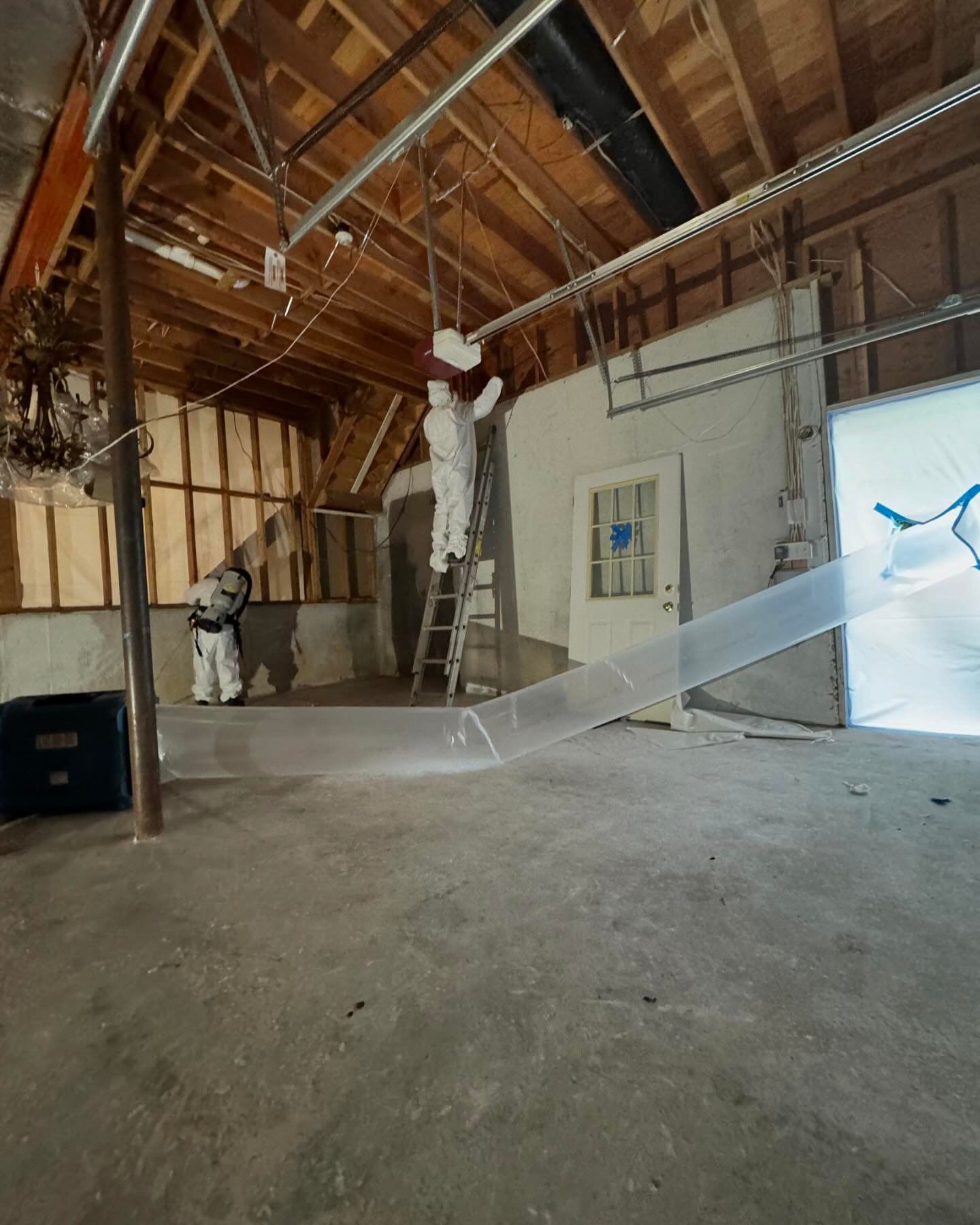 Mold removal and treatment on Long Island
