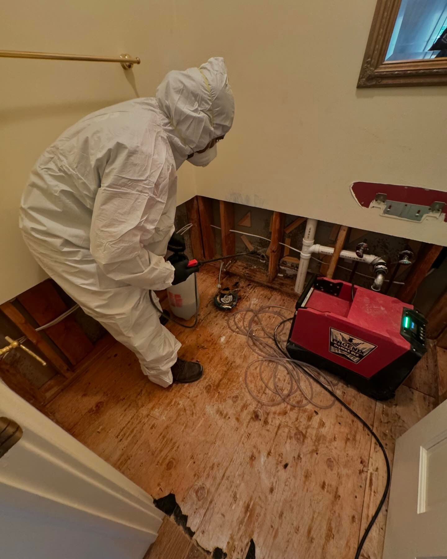mold removal treatment at home on Long Island