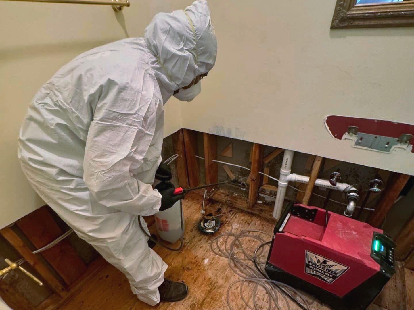 mold removal Long Island 