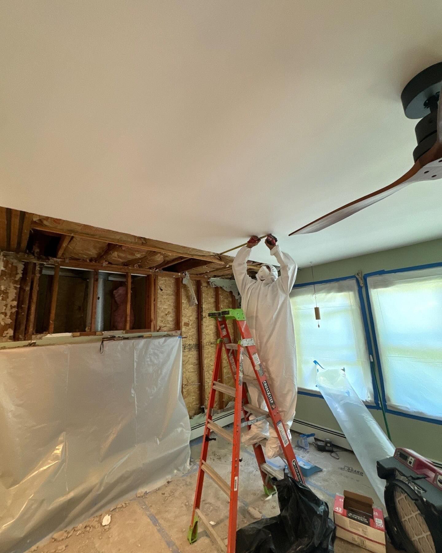 mold removal