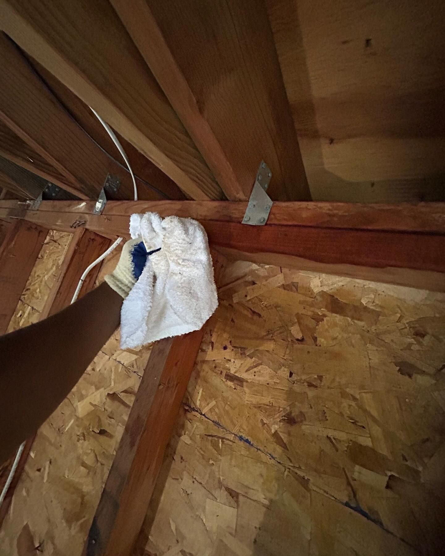 mold removal